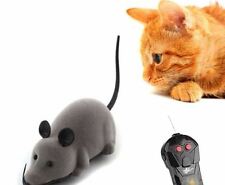 topo telecomandato per gatti