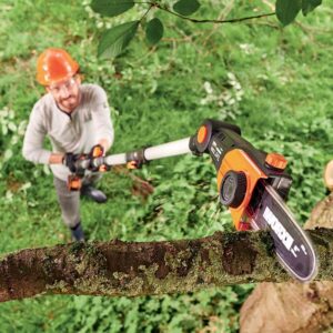 WORX Potatore Telescopico 20 V PowerShare WG349E 9 Include 1 Batteria 2 Ah e Caricatore