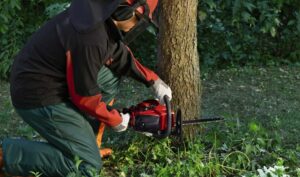 Einhell GC-PC 2040 I Motosega (benzina, motore 2 tempi, cilindrata 50,4 cc, potenza 2 kW, barra 40 cm, taglio 39 cm